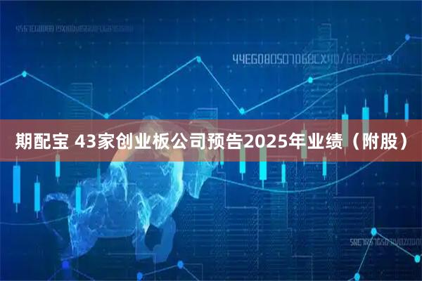 期配宝 43家创业板公司预告2025年业绩（附股）