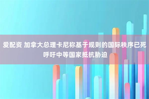 爱配资 加拿大总理卡尼称基于规则的国际秩序已死 呼吁中等国家抵抗胁迫
