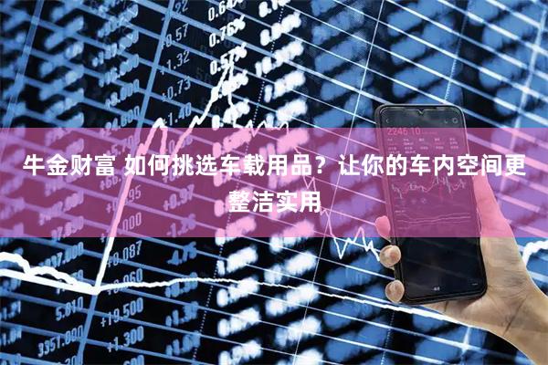 牛金财富 如何挑选车载用品？让你的车内空间更整洁实用