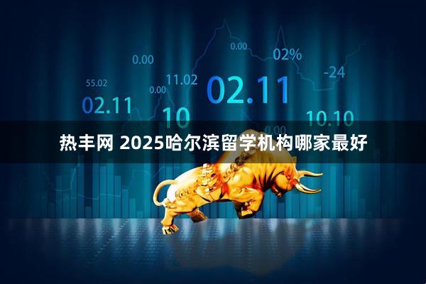 热丰网 2025哈尔滨留学机构哪家最好