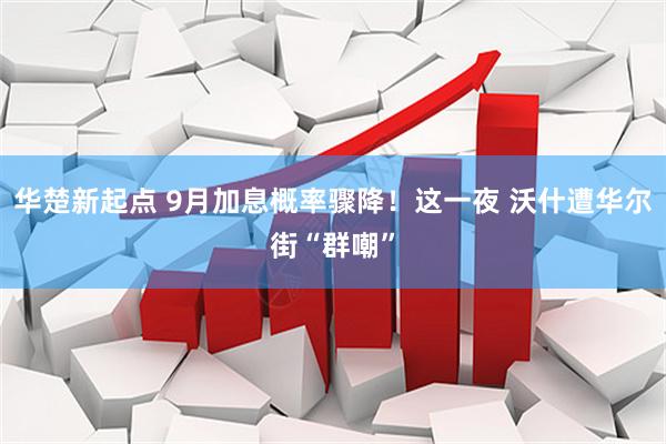 华楚新起点 9月加息概率骤降！这一夜 沃什遭华尔街“群嘲”
